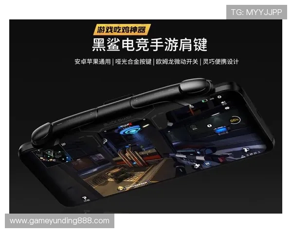 云顶国际官方网站下载官方客户端，享受正版游戏的极致体验